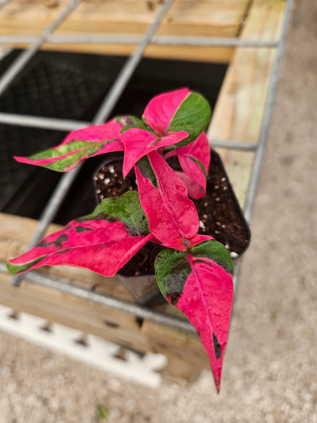 Welcome to Our Store